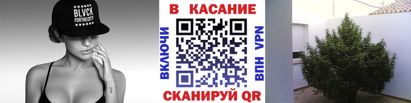 Сколько стоит Мурино APVP  Псилоцибиновые грибы  ГАШИШ 
