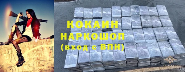 МДПВ Богородицк