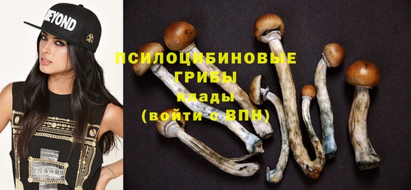 кристаллы Богданович