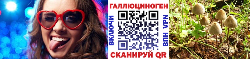 даркнет сайт  Мурино  Псилоцибиновые грибы Psilocybine cubensis 
