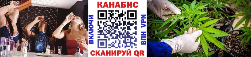 Конопля гибрид  Мурино 